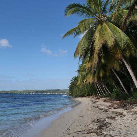 Village Kawann - Toumalacai 246 Grand-Bourg  المظهر الخارجي الصورة